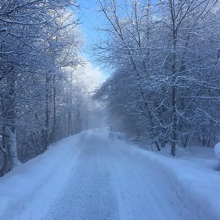 Wallner Apartament Zell am Ziller