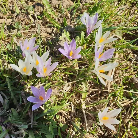 Wallner * Zell am Ziller