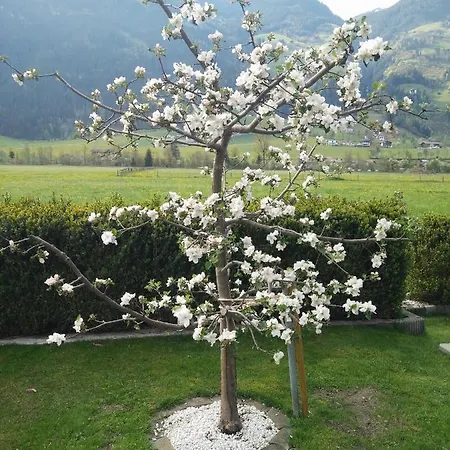 Wallner * Zell am Ziller